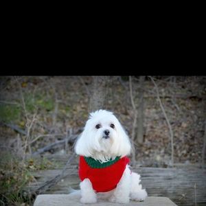 Meet your Posher, Doris